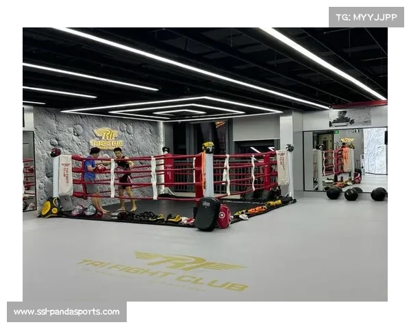 拳击运动需要循序渐进完善与发展